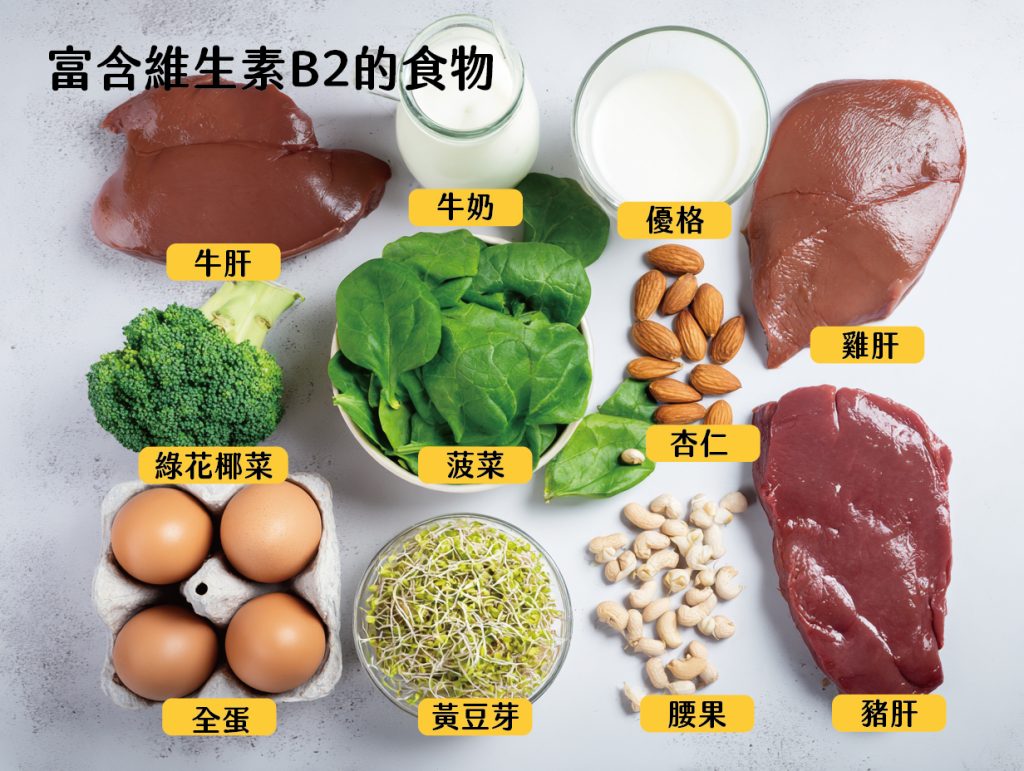 富含維生素B2的食物