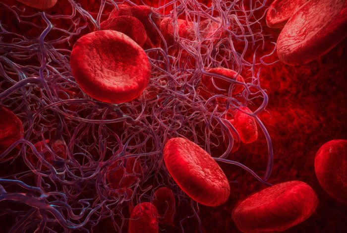 造血、DNA-與神經不可缺的鈷胺素：維生素B12功效、缺乏症狀與攝取建議